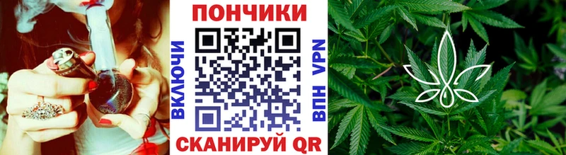 Купить закладку А ПВП  Бошки Шишки  МЕФ  ГАШ  КОКАИН  Североуральск