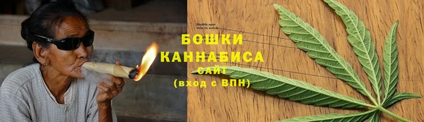 шишки Белоозёрский