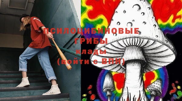 марихуана Белокуриха