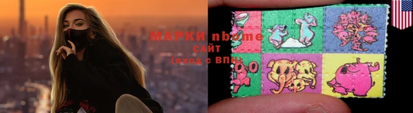 шишки Белоозёрский