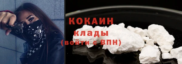 шишки Белоозёрский