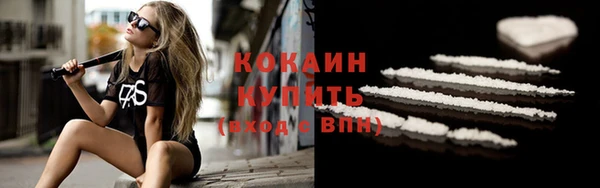 шишки Белоозёрский