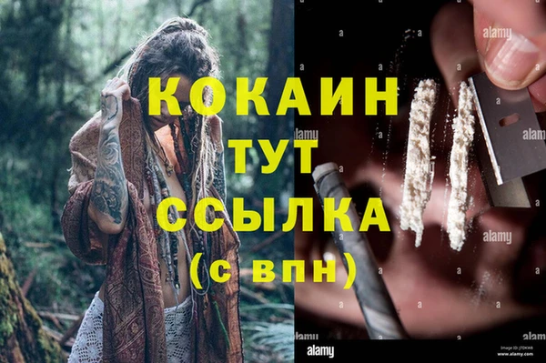 шишки Белоозёрский