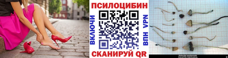 Купить где  Североуральск  Псилоцибиновые грибы прущие грибы 